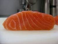salmone in gravidanza salmone in gravidanza
