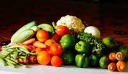 Alimentazione in età adulta