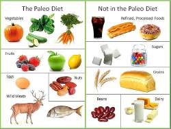 Dieta Paleo, funzionamento, esempi e ricette