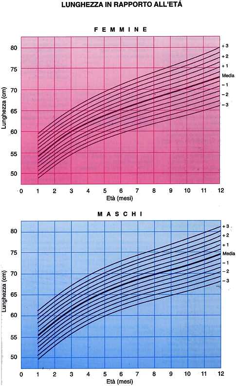 lunghezza accrescimento