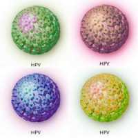 papilloma virus e fecondazione assistita
