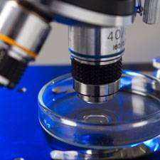 si guarisce definitivamente dal papilloma virus