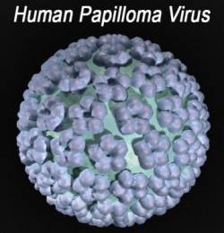 Vaccino papilloma virus verruche. Vaccino papilloma virus verruche,