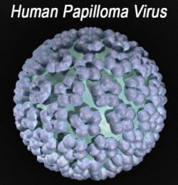 papilloma virus delle verruche bun antihelmintic pentru oameni