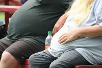 Pillola obesità